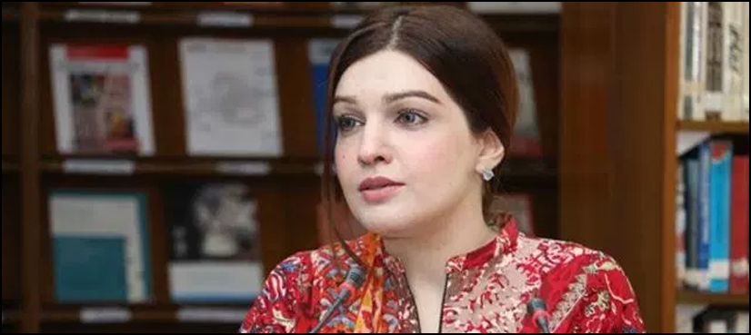 میں اور میرا شوہر کشمیر میں ہونے والے مظالم کی زندہ مثال ہیں، مشال ملک