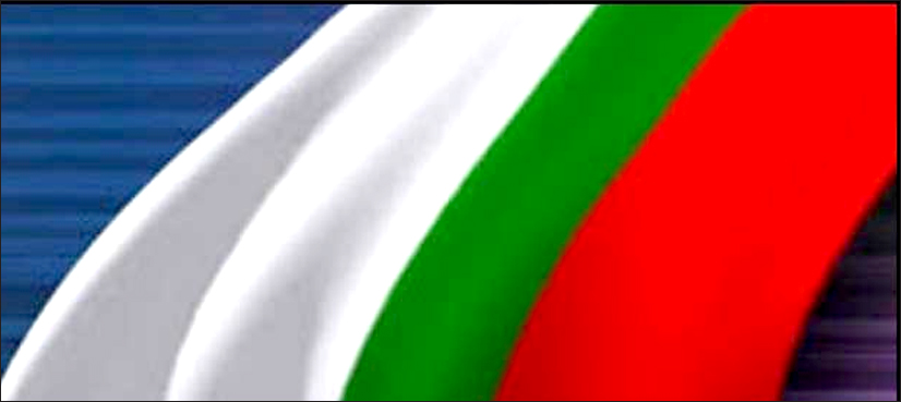 ایم کیو ایم پاکستان کی نئی رابطہ کمیٹی اورسی ای سی ارکان منتخب