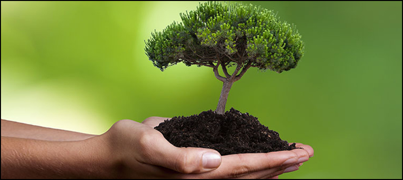 دین اسلام میں ماحول کی حفاظت کا سبق