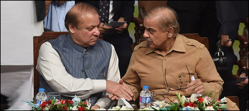 شہبازشریف مسلم لیگ(ن) کے بلامقابلہ قائم مقام صدر منتخب
