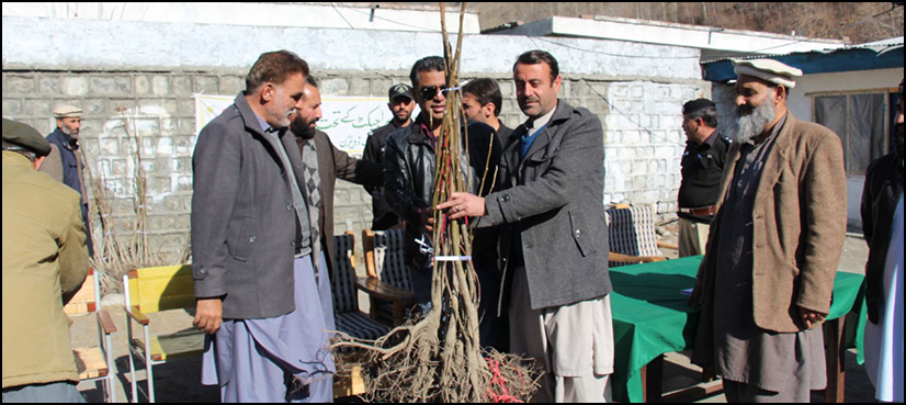 چترال میں سولہ لاکھ پودے لگانے کی مہم کا آغاز