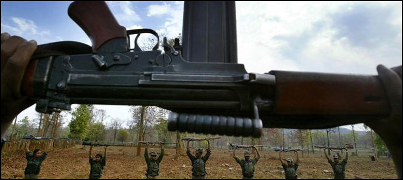 Niksal fighters