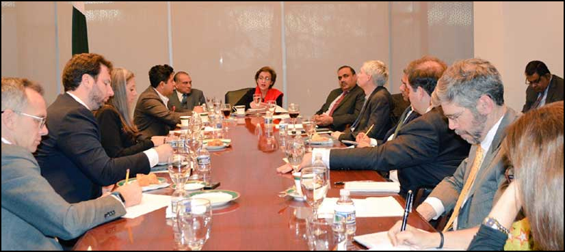پاکستان اپنی سرزمین سےدہشت گردی کےخاتمے کے لیے پرعزم ہے‘ تہمینہ جنجوعہ