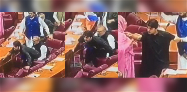 ن لیگ کے آخری بجٹ اجلاس میں شدید بدنظمی، مراد سعید اور عابد شیر علی میں‌ تلخ‌ کلامی