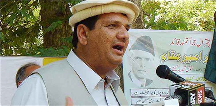 یو ٹرن خان وزارت عظمیٰ کے اہل نہیں، امیر مقام
