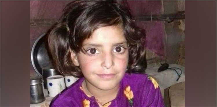 مقبوضہ کشمیر: آٹھ سالہ بچی زیادتی کے بعد قتل، وادی میں شدید مظاہرے، فنکاروں‌ کا احتجاج