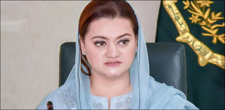 ‘عمران خان اور چوہدری شجاعت کے ایک ہی خط پر الگ الگ تشریح کیوں؟’