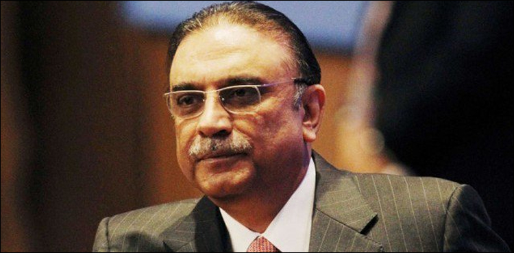 معاشی طور پر مضبوط اور مستحکم پاکستان ہمارا مشن ہے: آصف زرداری