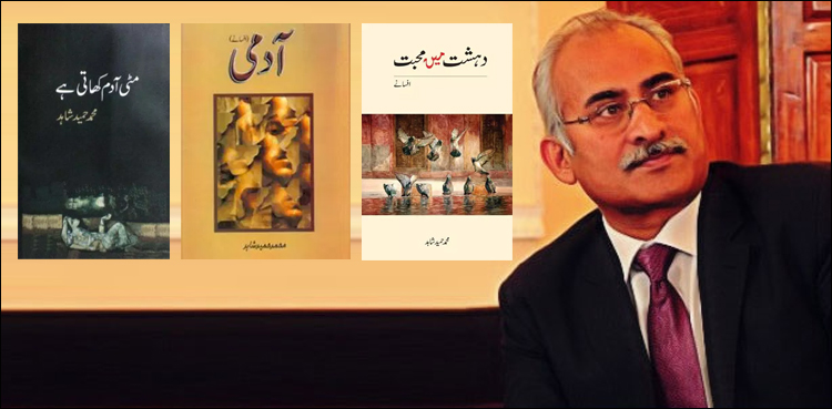 اردو مستقبل کی زبان ہے، مگر افسوس، یہ خبر ہماری حکومتوں تک نہیں پہنچی: محمد حمید شاہد
