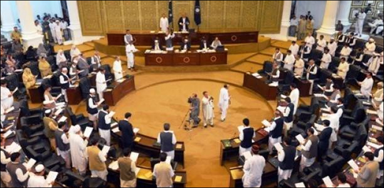 کے پی اسمبلی میں اپوزیشن نے قائمہ کمیٹیوں سے استعفے دے دیے