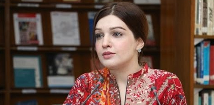 کشمیریوں کو نومنتخب حکومت اور عمران خان سے بہت توقعات ہیں، مشعال ملک