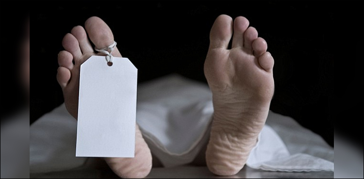 امریکا میں سلاد کے پتے کھانے سے ایک شخص ہلاک، سینکڑوں بیمار پڑ گئے
