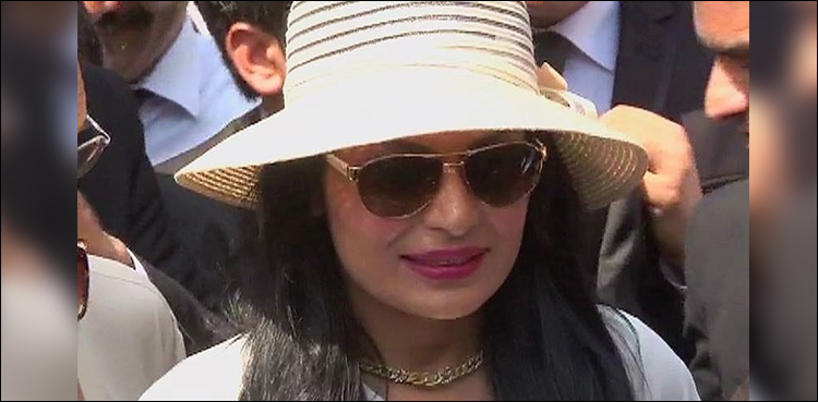 meera-marriage