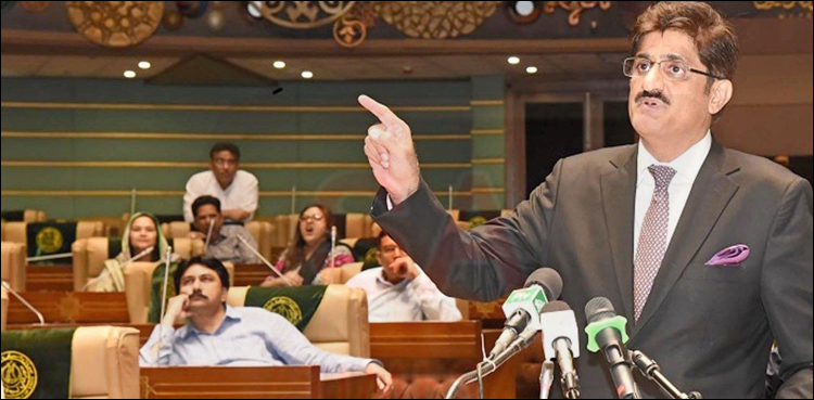 "ظالمو جواب دو، لوٹ مار کا حساب دو”: اپوزیشن نے پیپلزپارٹی کا بجٹ مسترد کر دیا