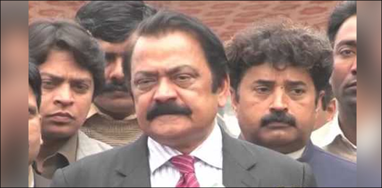نواز شریف نے ارادہ کرلیا ہے وہ صرف سچ کہیں گے، رانا ثنااللہ