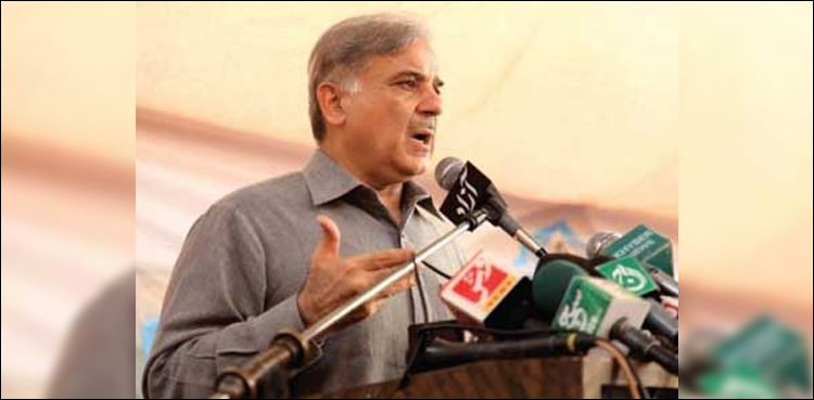 شہباز شریف چنیوٹ میں، شہریوں کا زمین پر لیٹ کر احتجاج