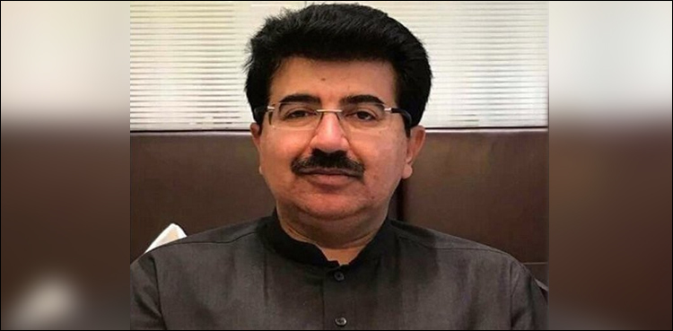 کھیل کا نہیں‌ پتہ، میں سیاست ہی کو شطرنج سمجھتا ہوں: صادق سنجرانی