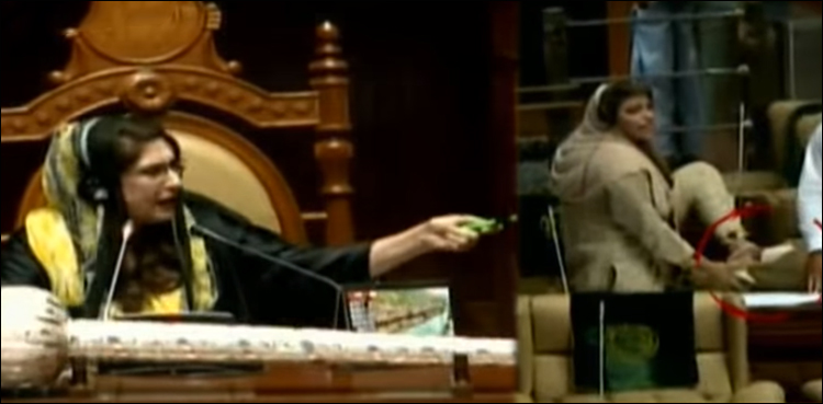 سندھ اسمبلی میں ہنگامہ، جوتا دکھانے پر نصرت عباسی کو ایوان سے باہر نکالنے کا حکم