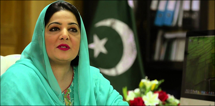 براڈ بینڈ صارفین کی تعداد تین فیصد سے بڑھ کر 38 فیصد ہوگئی، انوشہ رحمان