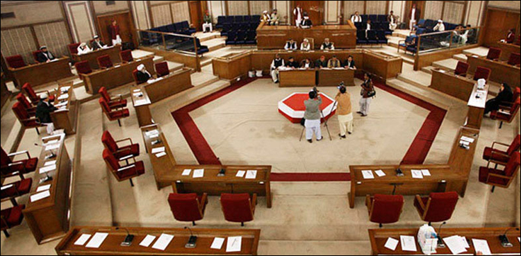 بلوچستان اسمبلی مچھلی بازاربن گئی، حکومتی اور اپوزیشن اراکین میں تلخ کلامی