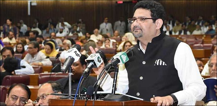 بجٹ 2018 کو کالعدم قرار دینے کی درخواست عدالت میں دائر