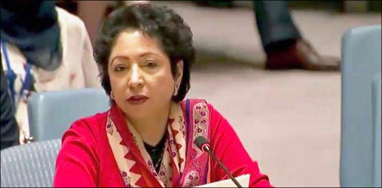متنازع علاقوں میں امن کےلیےکام کی بھاری قیمت ادا کرنی پڑتی ہے‘ ملیحہ لودھی