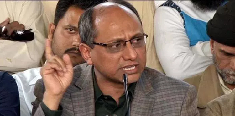 ذوالفقارمرزا وزیر داخلہ تھے، مگر وزیراعلیٰ کے اختیارات استعمال کیا کرتے تھے: سعید غنی