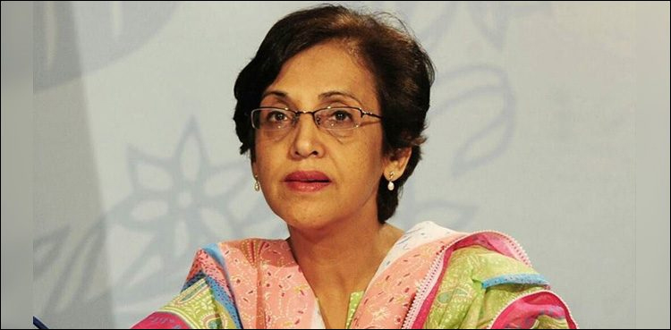 مقبوضہ کشمیراورفلسطین کا مسئلہ اقوام متحدہ کی قراردادوں کےمطابق حل کیا جائے‘ پاکستان