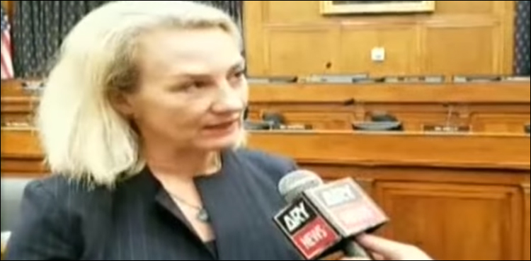 پاکستان کا دشمن امریکا کا دشمن ہے، نائب امریکی وزیر خارجہ