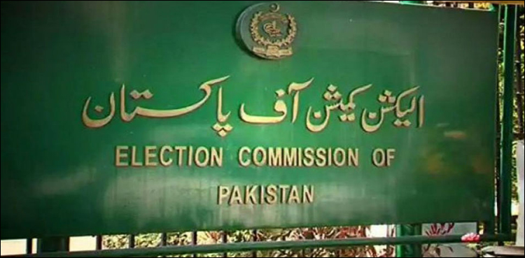 الیکشن کمیشن کا امیدواروں کے نامزدگی فارمز اور حلف نامے عام کرنے کا فیصلہ