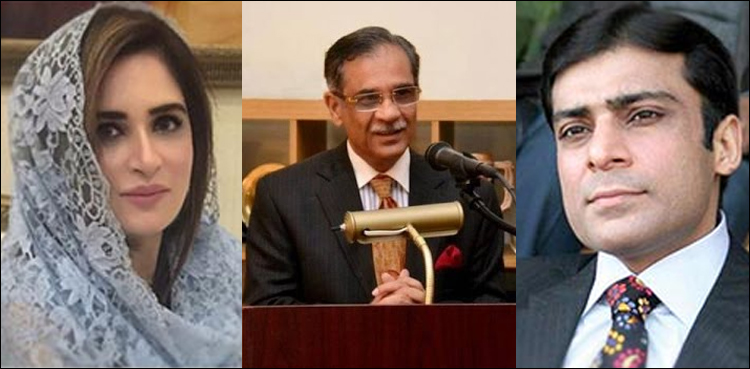 چیف جسٹس نے حمزہ شہباز اور عائشہ احد میں صلح کرادی