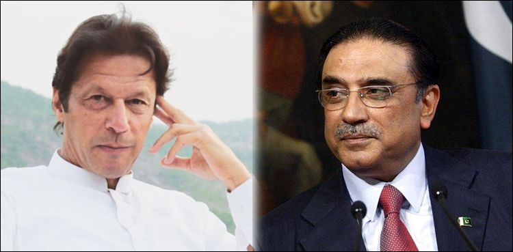 آصف زرداری اور عمران خان کے اثاثوں کی تفصیلات منظر عام پر آگئیں