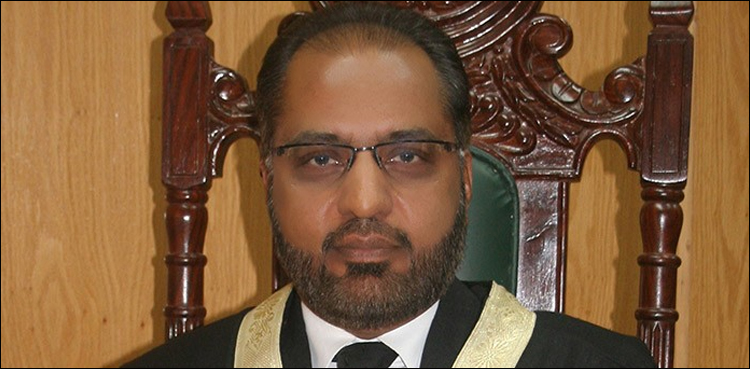 پرائیویٹ اسکولز کا گرمی کی چھٹیوں کی فیس وصول کرنا توہین عدالت ہے،جسٹس شوکت عزیز صدیقی