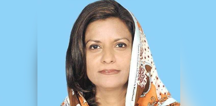 پاکستان کا ہر فرد افواج پاکستان کی طاقت ہے: ڈاکٹر نفیسہ شاہ
