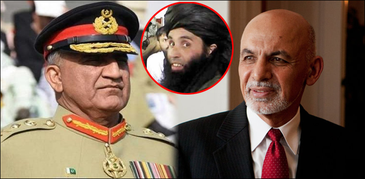فضل اللہ ہلاکت: اشرف غنی کا آرمی چیف سے رابطہ، واقعے کی تصدیق