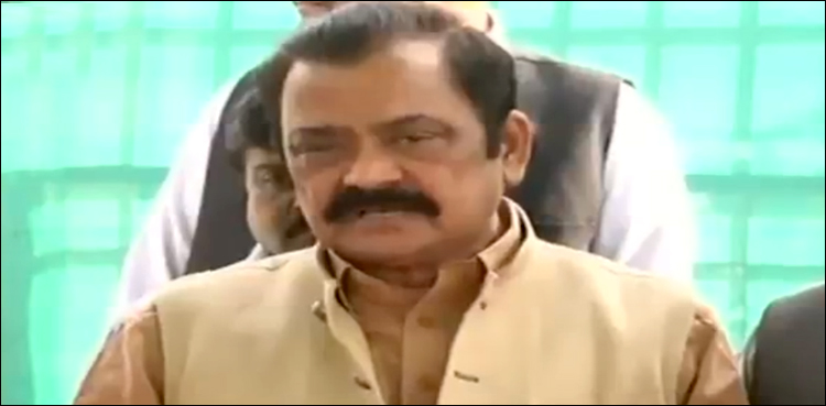 ن لیگ نے چوہدری نثار کو ٹکٹ جاری نہ کرنے کا فیصلہ کیا ہے، رانا ثناءاللہ