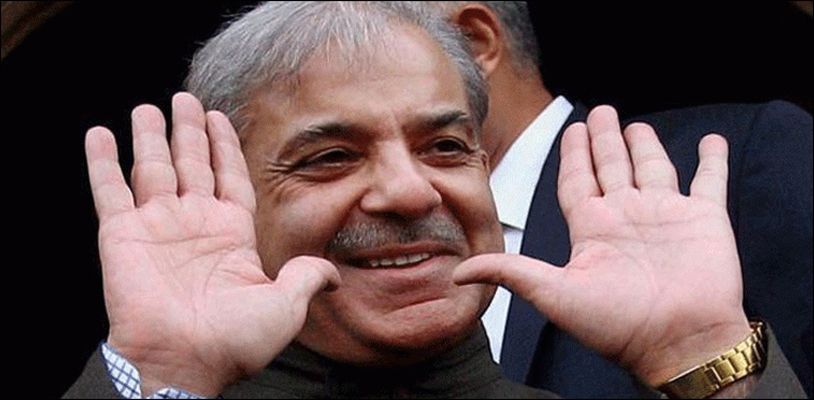 حکومت دوبارہ ملی تو کپڑے بیچ کر بھی بھاشا ڈیم بناؤں گا، شہباز شریف