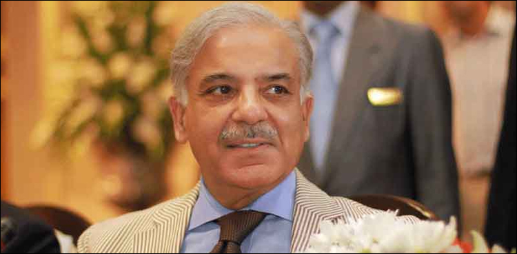 مسلم لیگ ن کے صدر شہبازشریف دو روزہ دورے پرکل کراچی پہنچیں گے
