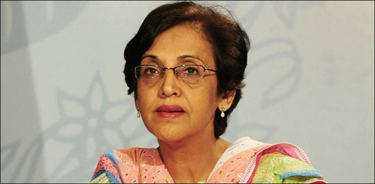 35 سال وزارت خارجہ میں خدمات کے بعد رخصت ہو رہی ہوں: تہمینہ جنجوعہ