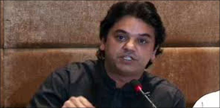 خواجہ آصف ن لیگ کے خالی ہونے کا رونا رو رہے ہیں، عثمان ڈار