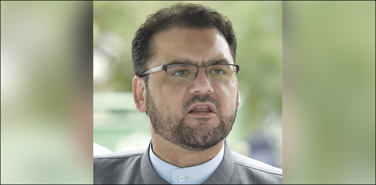 والدہ وینٹی لیٹر پر ہیں، حالت ٹھیک نہیں ہے، حسین نواز