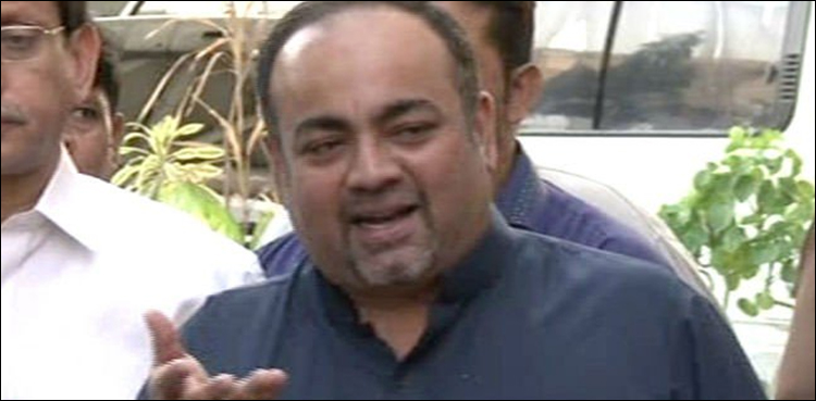 جعلی ڈومیسائل معاملے پر سندھ حکومت عدالتوں سے بھاگ رہی ہے، خواجہ اظہار