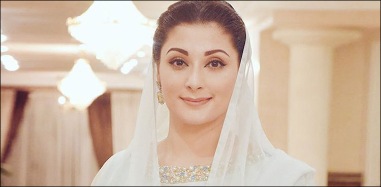 مریم نواز کی جائیداد کا ریکارڈ منظر عام پر