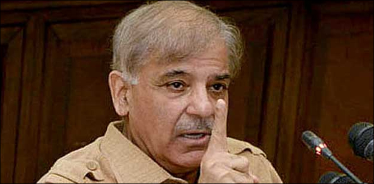 ووٹ کو عزت دو، یہی مسلم لیگ (ن) کا نعرہ ہے: شہباز شریف