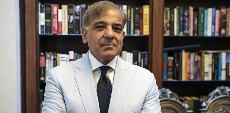 مسلم لیگ ن آج کراچی سے انتخابی مہم کا آغاز کرے گی