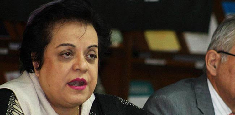 دنیا ایک مہینے سے مقبوضہ کشمیرمیں کرفیو، لاک ڈاؤن دیکھ رہی ہے، شیریں مزاری