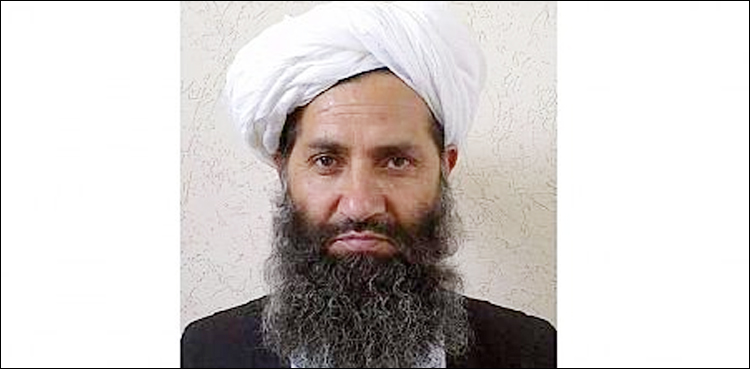 ملا فضل اللہ ہلاک، افغان حکام نے تصدیق کردی