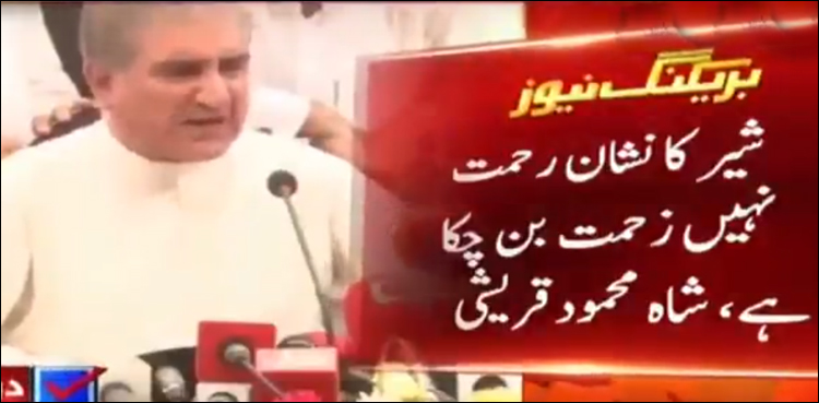 شیر کا نشان زحمت بن گیا، مسلم لیگ ن کے امیدواران ٹکٹ واپس کررہے ہیں، شاہ محمود