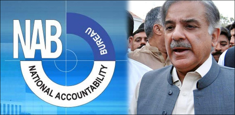 صاف پانی کمپنی اسکینڈل : شہباز شریف کی داماد سے متعلق سوال پر خاموشی اور برہمی