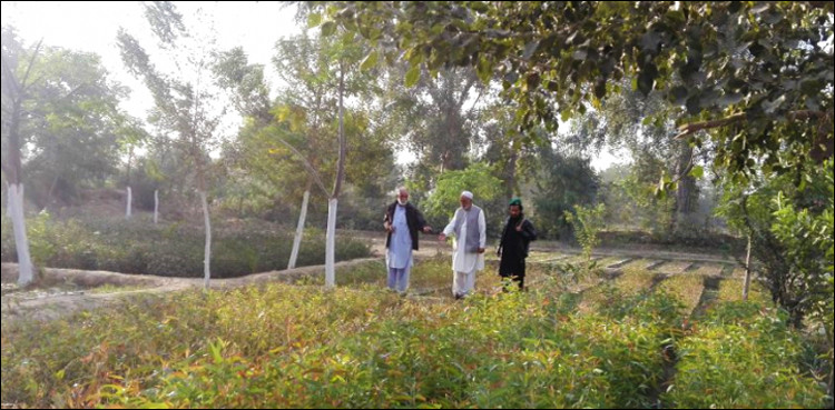 بلین ٹری سونامی: سپارکو نے بھی تعریفی رپورٹ جاری کردی